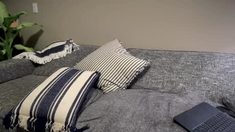 BrandiTravis online show from December 18, 2024, 11:51 pm