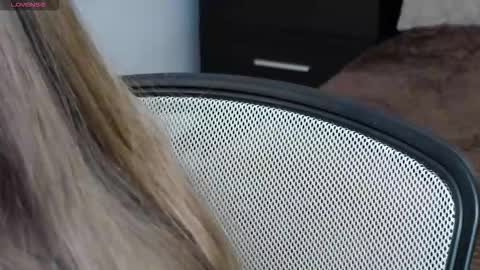 Snapshot of brandy_gem chatting on February 18, 2026, 7:26 am Brandy Gem online show from February 18, 2026, 7:26 am