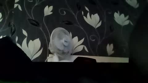 PB9944 online show from September 14, 2025, 7:18 am