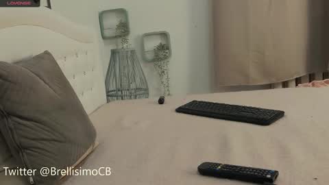 Brelland online show from February 17, 2025, 1:32 pm