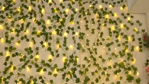 Brenda online show from January 5, 2025, 9:25 pm