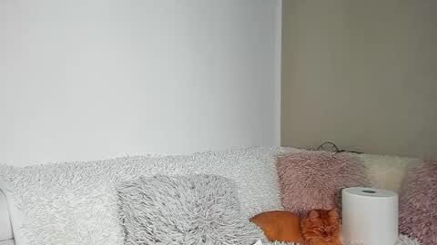 brianadiamondxxx online show from July 9, 2026, 6:17 am