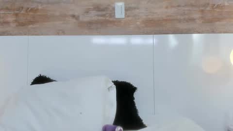 Snapshot of brianna_beltran chatting on April 12, 2026, 11:04 am brianna_beltran online show from April 12, 2026, 11:04 am