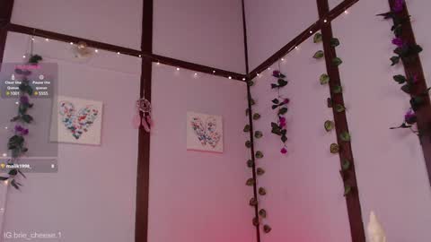 Snapshot of brie_cheese1 chatting on January 4, 2025, 7:13 pm Brie Ill be away November 2829 and 30. See u on Sunday for more fun online show from January 4, 2025, 7:13 pm