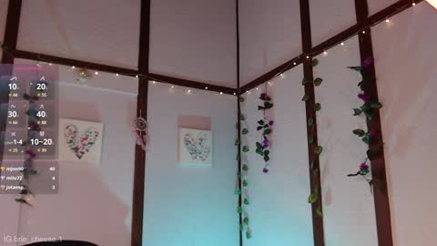 Snapshot of brie_cheese1 chatting on February 3, 2025, 8:57 pm Brie Ill be away November 2829 and 30. See u on Sunday for more fun online show from February 3, 2025, 8:57 pm