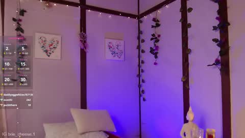 Snapshot of brie_cheese1 chatting on February 19, 2025, 8:41 pm Brie Ill be away November 2829 and 30. See u on Sunday for more fun online show from February 19, 2025, 8:41 pm