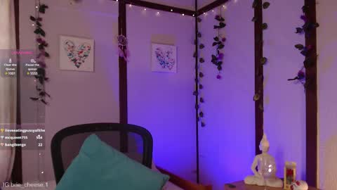 Snapshot of brie_cheese1 chatting on February 20, 2025, 8:14 pm Brie Ill be away November 2829 and 30. See u on Sunday for more fun online show from February 20, 2025, 8:14 pm