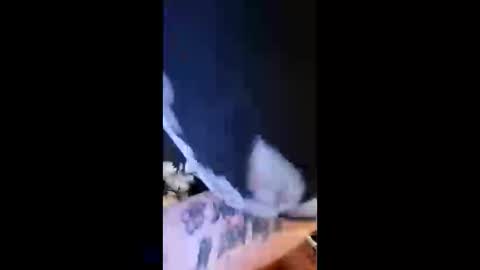 Snapshot of briebaby88 chatting on April 13, 2026, 11:54 pm Leela Marie xo online show from April 13, 2026, 11:54 pm