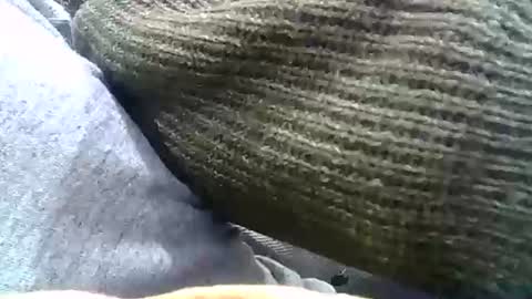 Snapshot of brilliant7 chatting on December 31, 2024, 2:29 am Josh online show from December 31, 2024, 2:29 am