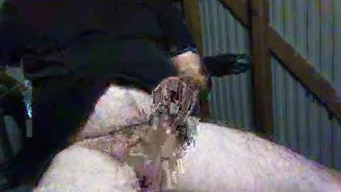 Snapshot of brissy8091 chatting on May 26, 2026, 8:43 am brissy8091 online show from May 26, 2026, 8:43 am