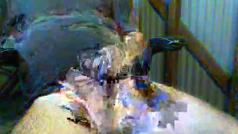 Snapshot of brissy8091 chatting on May 31, 2026, 10:22 pm brissy8091 online show from May 31, 2026, 10:22 pm