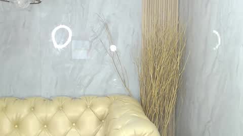 Snapshot of britney_sub chatting on December 28, 2024, 9:52 am Britney online show from December 28, 2024, 9:52 am