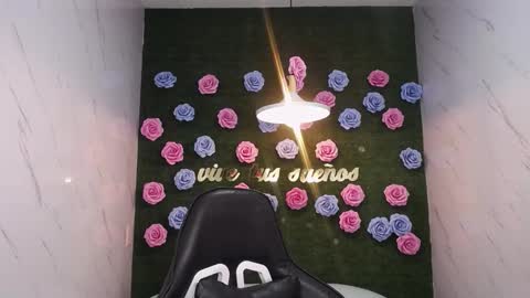 Snapshot of britney_sub chatting on February 14, 2025, 10:28 am Britney online show from February 14, 2025, 10:28 am