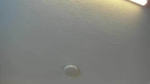 Snapshot of brittany069 chatting on April 19, 2026, 7:38 pm Brittany online show from April 19, 2026, 7:38 pm