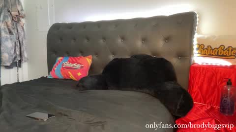 Brody Biggs online show from January 9, 2026, 8:21 pm