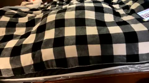 brownbootie1 online show from January 7, 2025, 4:05 pm