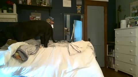 brunettebaby040 online show from September 13, 2025, 5:13 pm