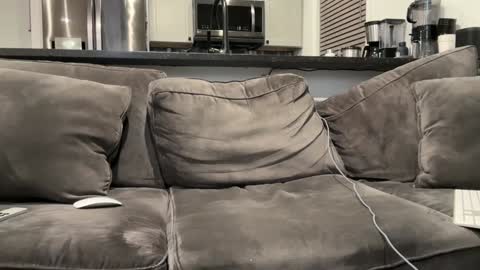 brwm2013 online show from January 12, 2025, 3:07 am