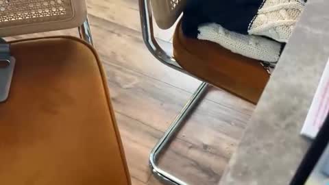 Snapshot of bucky5819 chatting on February 16, 2026, 3:30 pm bucky58 online show from February 16, 2026, 3:30 pm