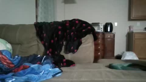 Bud42o online show from September 9, 2025, 4:56 am