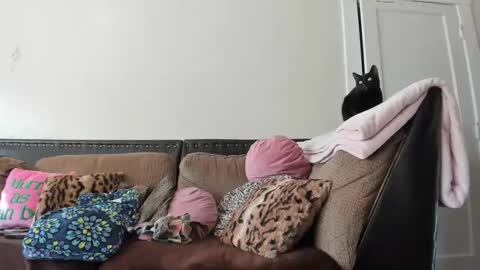 Snapshot of buffybarloe chatting on December 2, 2024, 6:32 pm Buffy online show from December 2, 2024, 6:32 pm