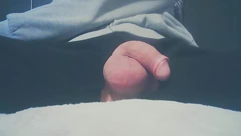 Dutch cock online show from February 16, 2025, 6:32 am