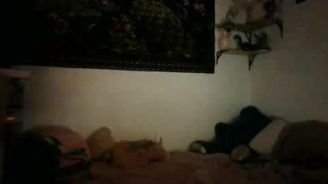 Snapshot of bunn13cat chatting on March 17, 2026, 12:52 pm bunn13cat online show from March 17, 2026, 12:52 pm