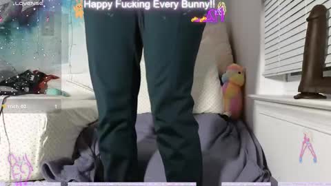 Tokki  bunny  online show from December 12, 2024, 2:37 am