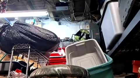 Snapshot of bushdoctor1 chatting on September 10, 2025, 9:53 am bushdoctor1 online show from September 10, 2025, 9:53 am