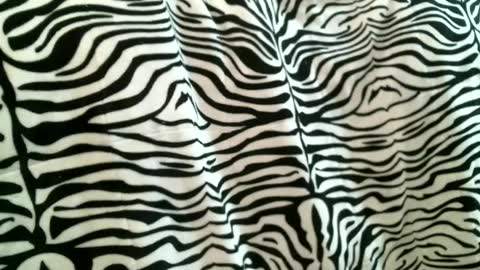 Snapshot of bustinfree chatting on September 9, 2025, 5:56 pm bustinfree online show from September 9, 2025, 5:56 pm