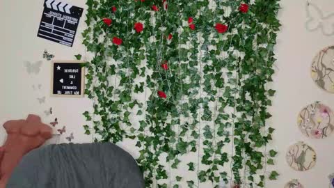 Snapshot of butterflybootyy chatting on November 3, 2025, 8:43 pm butterfly booty online show from November 3, 2025, 8:43 pm