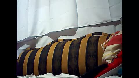 californiacam2 online show from December 30, 2024, 5:04 am