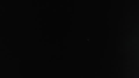 CamDiva1 online show from February 12, 2025, 3:49 pm