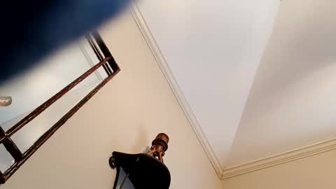 Snapshot of camerontaylorcub chatting on December 3, 2024, 5:12 pm camerontaylorcub online show from December 3, 2024, 5:12 pm