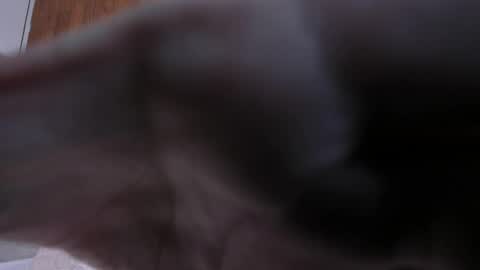 camilaa_smith_ online show from April 2, 2026, 7:55 pm