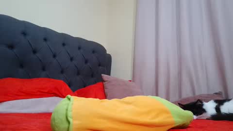 Camila Browm online show from February 9, 2025, 9:26 am