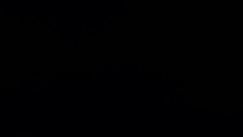 camilio96 online show from December 12, 2024, 4:15 am