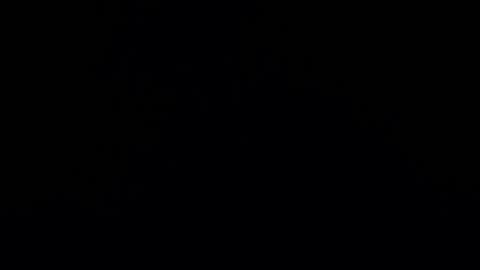 camilio96 online show from December 27, 2024, 5:42 am