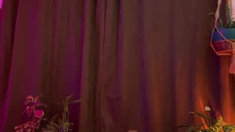  Camille   online show from March 31, 2026, 1:07 am