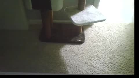 cammyman6900 online show from September 21, 2025, 4:47 am