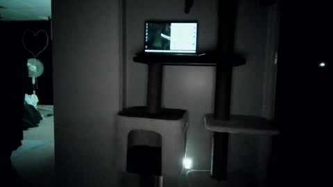 cammyman6900 online show from July 27, 2026, 4:08 am