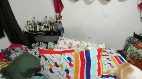 candlex  online show from February 10, 2025, 3:35 am