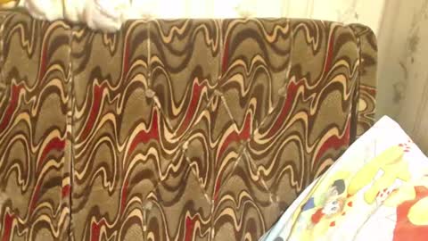 say meow and send tip  online show from March 2, 2025, 1:05 pm