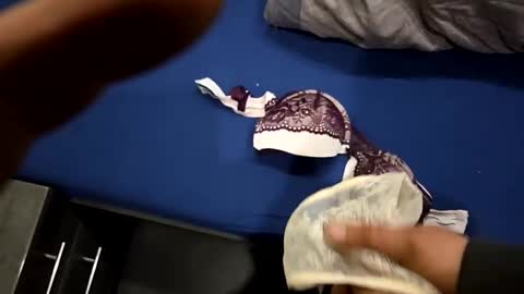 Snapshot of capoo24 chatting on October 28, 2025, 10:08 am capoo24 online show from October 28, 2025, 10:08 am