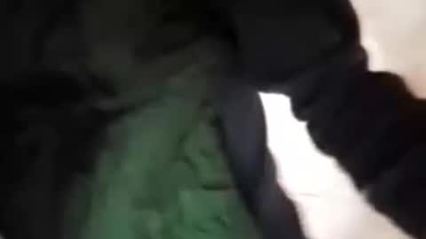 capri34 online show from September 21, 2025, 7:48 pm