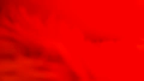 captain_nature online show from February 26, 2025, 7:09 am