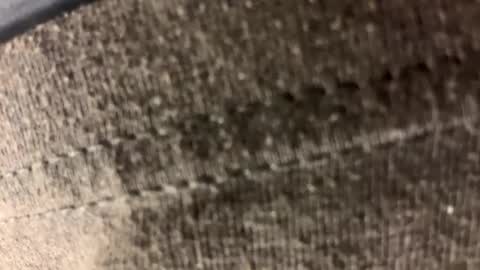 Carl1616 online show from April 21, 2026, 1:42 am