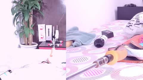 Carol online show from March 12, 2026, 11:05 am