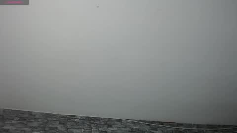 Snapshot of carolinajamess chatting on November 17, 2025, 11:32 pm Camelia online show from November 17, 2025, 11:32 pm