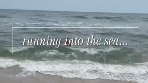 carrie madsin online show from April 12, 2026, 6:24 pm